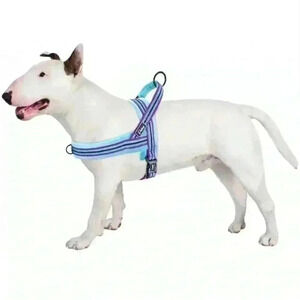 🌈 6/$60, Didog Soft Padded Dog Harness, Large, Turqoise/Purple
